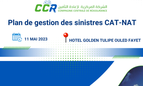 WORKSHOP COMPTABILITE ET FINANCES TRAITES 12-06-2023 WORKSHOP PLAN DE GESTION DES SINISTRES CAT-NAT 11-05-2023