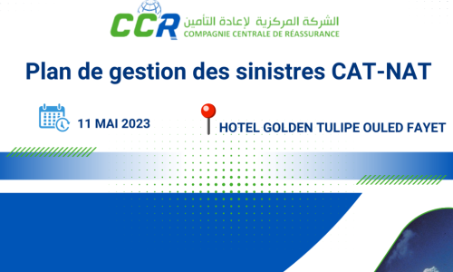 WORKSHOP PLAN DE GESTION DES SINISTRES CAT-NAT 11-05-2023